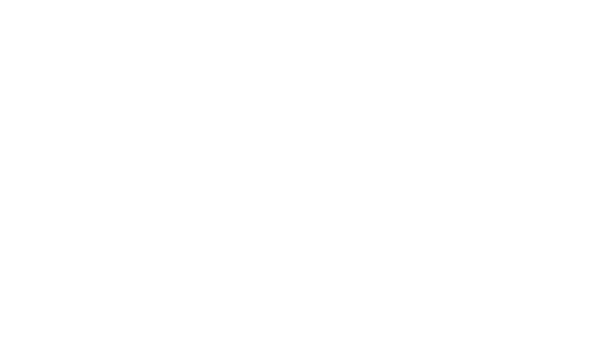 LoveRaw white logo